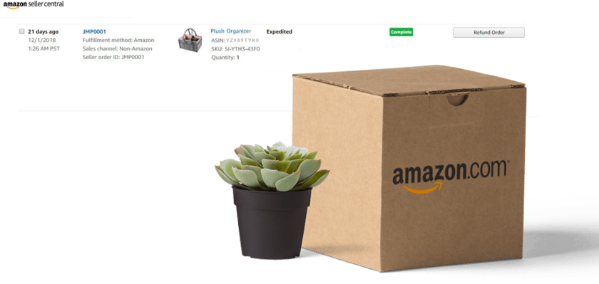 Amazon Seller Central Screenshot of Amazozn Seller Central with box and succulent in foreground