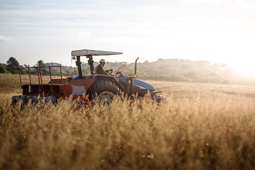 Трактор и водитель на пшеничном поле